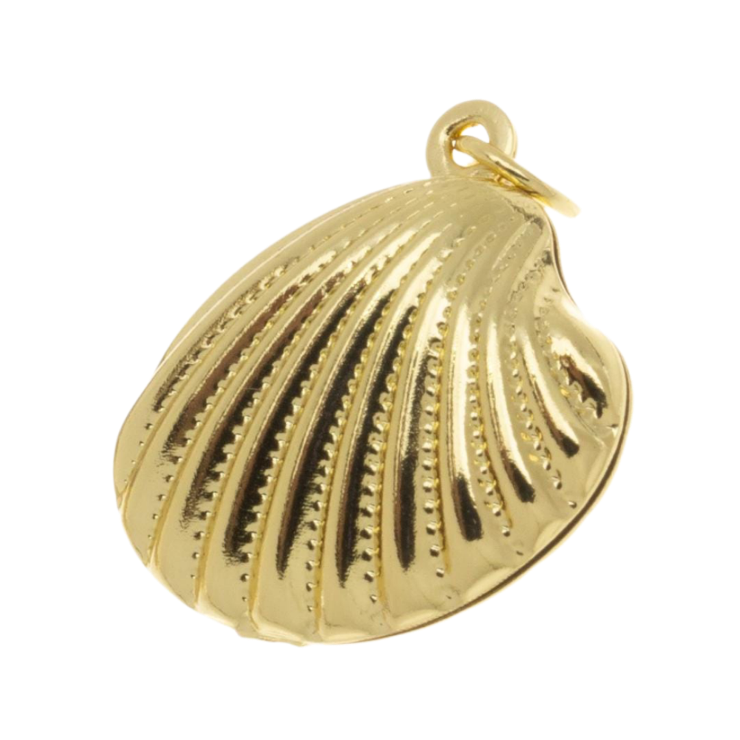 Clam Shell